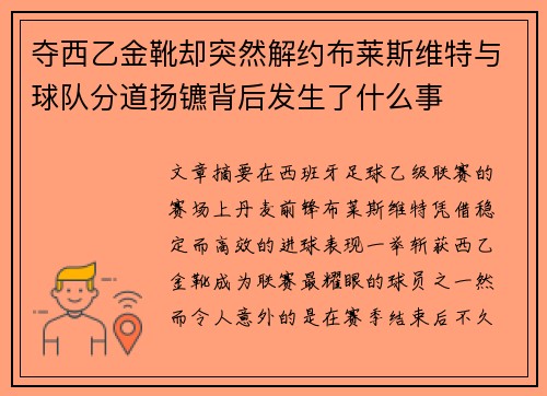 夺西乙金靴却突然解约布莱斯维特与球队分道扬镳背后发生了什么事